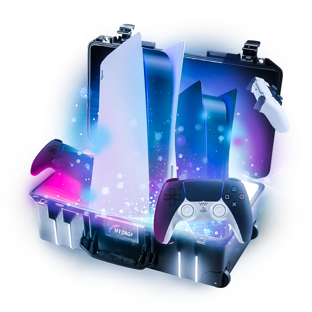 Playstation Case
