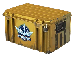Vanguard Weapon Case